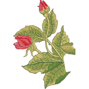 刺绣玫瑰花图案