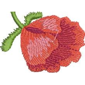 刺绣罂粟花图案