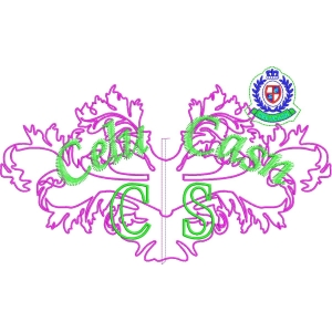 塞尔卡什队徽设计图