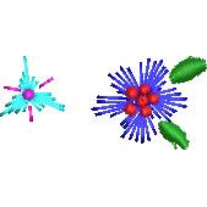 分子结构模型示意图