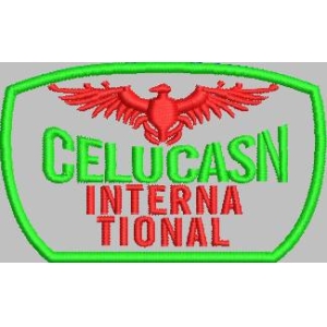 CELUCASN国际标志徽章