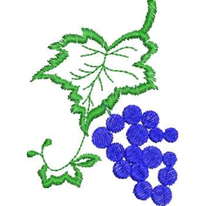 葡萄藤与蓝葡萄刺绣图案