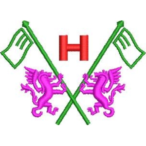 旗帜与龙纹徽章设计