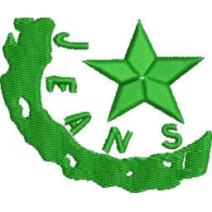 绿色星月图案刺绣