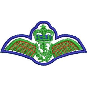 空军徽章刺绣图案