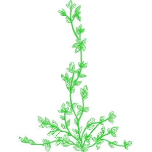 绿色植物藤蔓图案