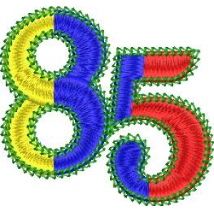 彩色刺绣数字85