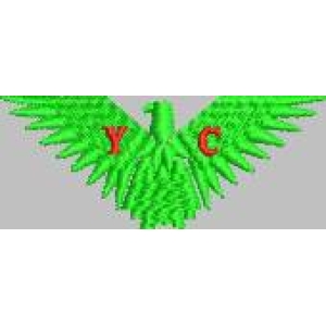绿色鹰形标志带字母Y和C