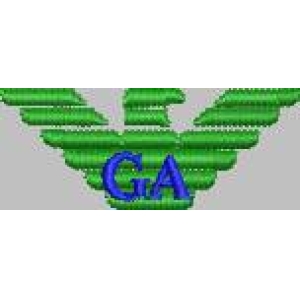 绿色翅膀标志带GA字母