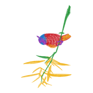 鸟竹