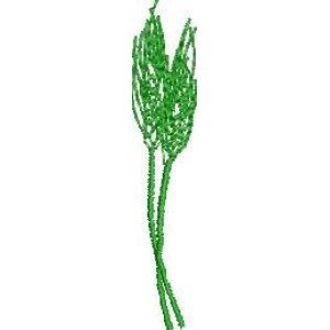 绿色植物装饰图案
