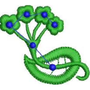 绿色植物结构示意图