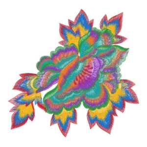 美丽牡丹