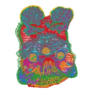 猫和狗
