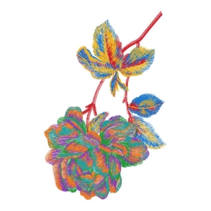 美丽花卉