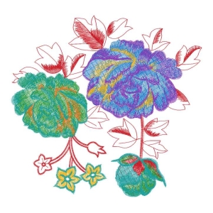 美丽牡丹
