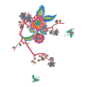 美丽牡丹