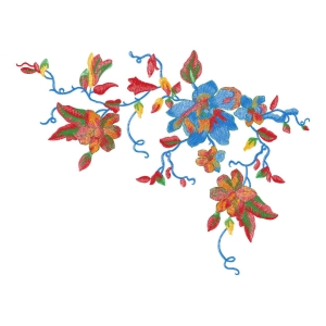 美丽花卉