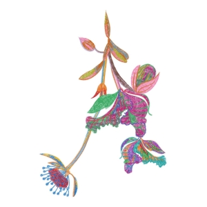 美丽花卉
