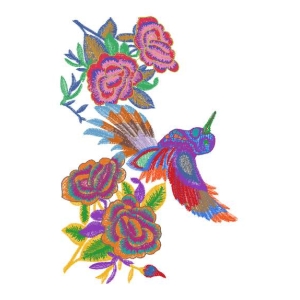 鸟