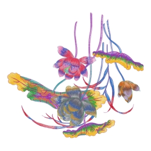 莲花美丽花卉