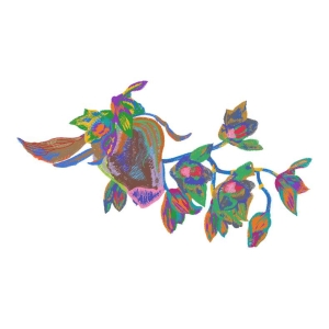 美丽花卉