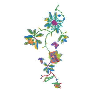 美丽花鸟