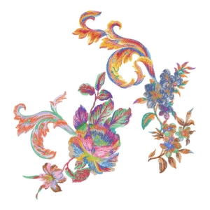 美丽牡丹