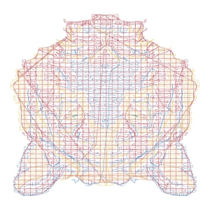 虎头珠绣