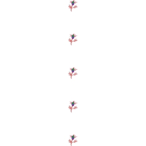 红色枝条上的彩色果实