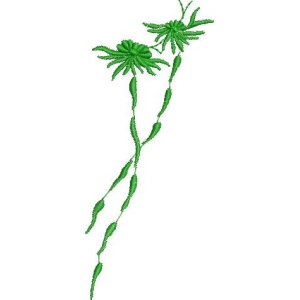 绿色植物刺绣图案
