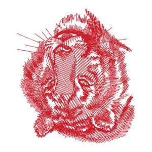 虎头