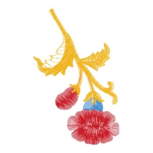 美丽花卉