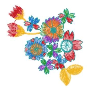 美丽花卉