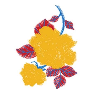 美丽花卉