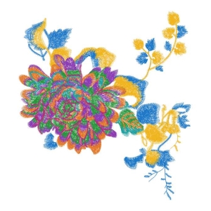 美丽花卉