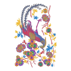 凤凰美丽花卉