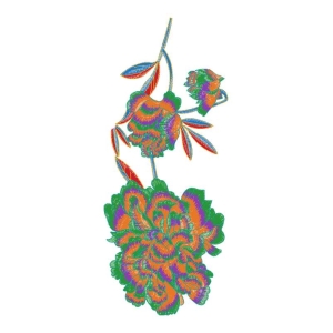 美丽花卉