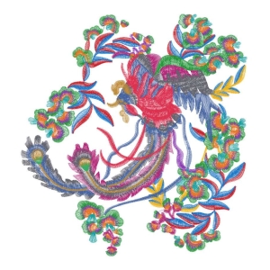 美丽花卉凤凰