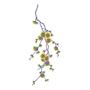 美丽花卉