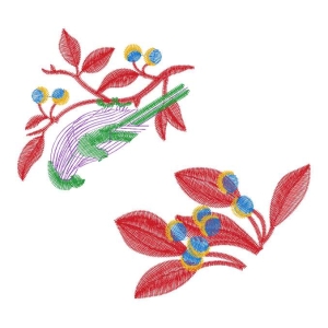 鸟珠片