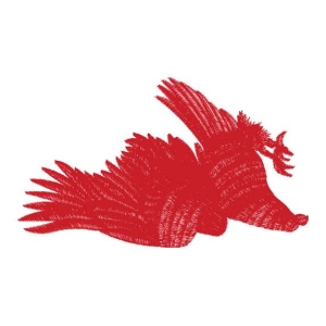 鹰