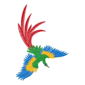 鹰