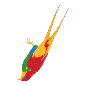 鸟