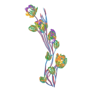 美丽花卉