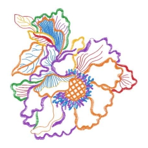 美丽花卉
