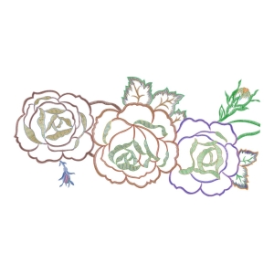 美丽花卉