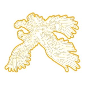 鹰