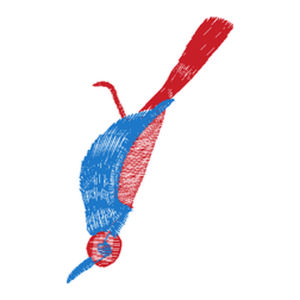 鸟
