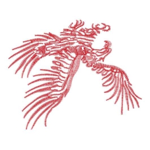 鹰